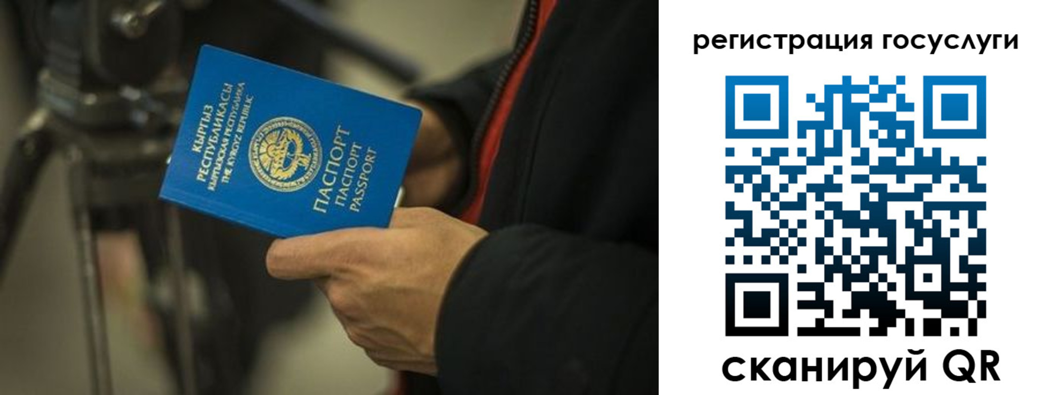 регистрация в Пионерском